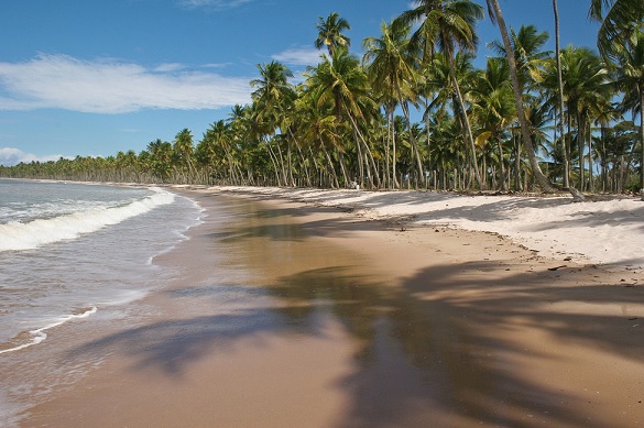 Playas de Salvador de Bahía